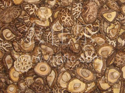 切足白花菇A级3-4cm