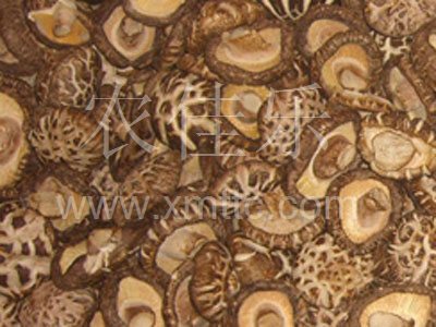 切足白花菇A级4-5cm