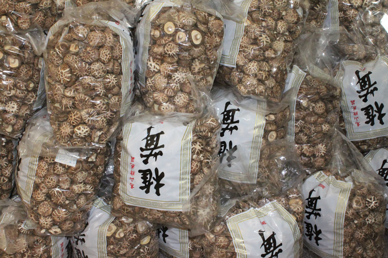 切足白花菇AA级